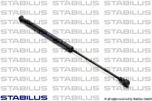 Amortizor, luneta RENAULT GRAND SCÉNIC II (JM0/1_) (2004 - 2016) STABILUS 2572WZ
